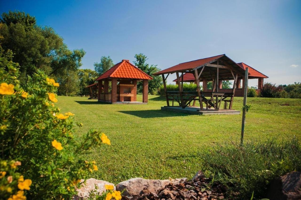 Illara Spa Hotel Irshava Exterior photo