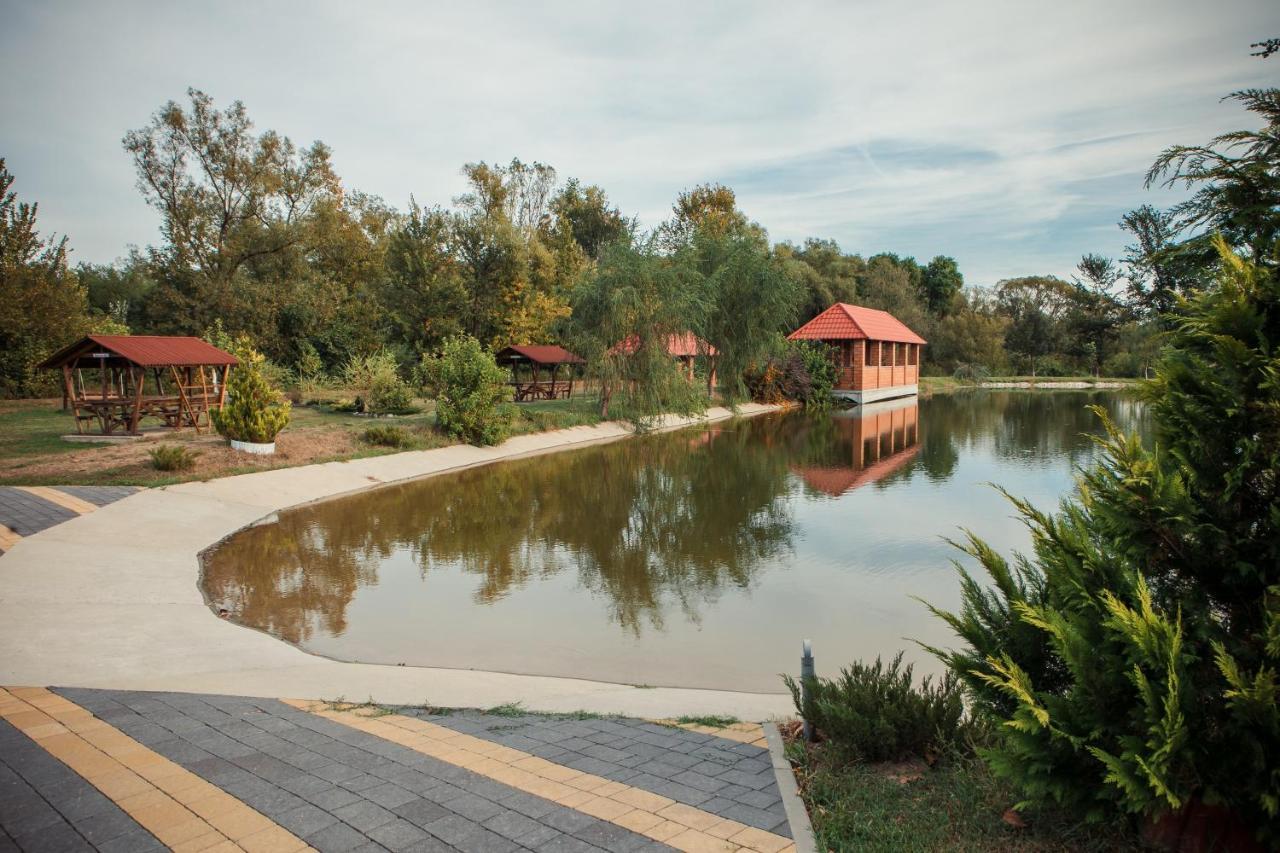 Illara Spa Hotel Irshava Exterior photo